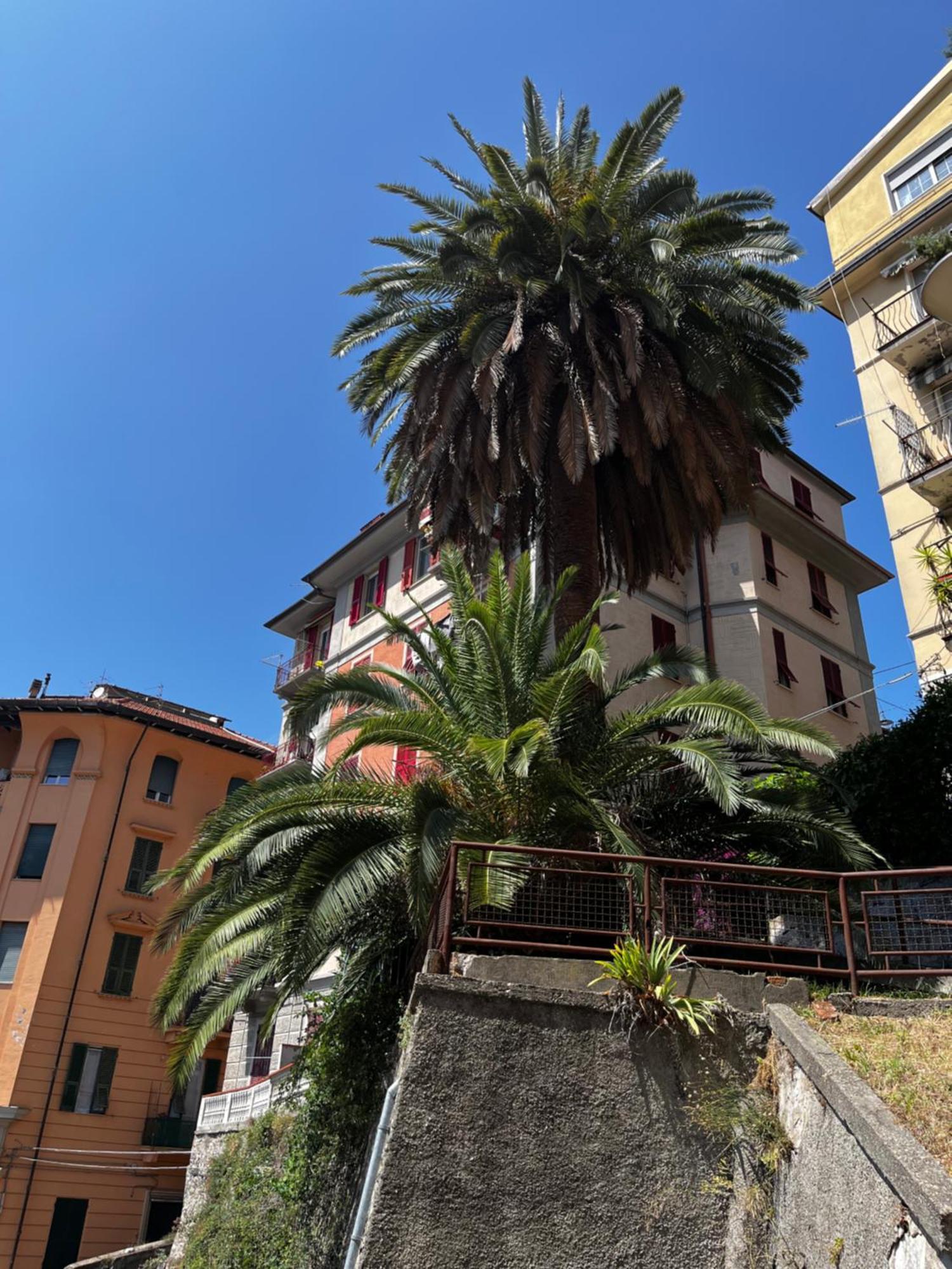 Appartement Donna Lucrezia à La Spezia Extérieur photo